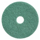 890217 Twister pad 17" - 431 mm - GROEN - pak 2 stuks <!DOCTYPE HTML PUBLIC "-//W3C//DTD HTML 4.0 Transitional//EN">
<html><head>
<meta content="text/html; charset=unicode" http-equiv="Content-Type" />
</head>
<body>
<div class="col s12 artikelbeschrijving" style='font-size: 16px; font-family: "Source Sans Pro"; white-space: normal; word-spacing: 0px; text-transform: none; font-weight: 400; color: rgb(112,112,112); font-style: normal; orphans: 2; widows: 2; letter-spacing: 0px; background-color: rgb(255,255,255); text-indent: 0px; font-variant-ligatures: normal; font-variant-caps: normal; -webkit-text-stroke-width: 0px; text-decoration-thickness: initial; text-decoration-style: initial; text-decoration-color: initial; grid-column: auto / span 12' data-boma-business-ssr="product-description">
<p style='font-size: 16px; font-family: "Source Sans Pro"; white-space: normal; word-spacing: 0px; text-transform: none; font-weight: 400; color: rgb(112,112,112); font-style: normal; orphans: 2; widows: 2; letter-spacing: 0px; background-color: rgb(255,255,255); text-indent: 0px; font-variant-ligatures: normal; font-variant-caps: normal; -webkit-text-stroke-width: 0px; text-decoration-thickness: initial; text-decoration-style: initial; text-decoration-color: initial'>Groene 
twisterpad.</p>
<ul style='font-size: 16px; font-family: "Source Sans Pro"; white-space: normal; word-spacing: 0px; text-transform: none; font-weight: 400; color: rgb(112,112,112); font-style: normal; orphans: 2; widows: 2; letter-spacing: 0px; background-color: rgb(255,255,255); text-indent: 0px; font-variant-ligatures: normal; font-variant-caps: normal; -webkit-text-stroke-width: 0px; text-decoration-thickness: initial; text-decoration-style: initial; text-decoration-color: initial'>
  <li style="margin: 5px 0px">Geschikt voor dagelijks onderhoud van de 
vloer</li>
  <li style="margin: 5px 0px">Zorgt bij regelmatig gebruik dat de natuurlijke 
  glans wordt behouden</li>
  <li style="margin: 5px 0px">Geschikt voor alle vloeren, zoals steen, vinyl en 
  linoleum met uitzondering van sportvloeren.</li>
  <li style="margin: 5px 0px">Ook geschikt voor het droog polijsten van 
  vloeren</li></ul></div></body></html> 890217